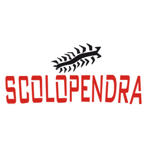 Scolopendra Bologna