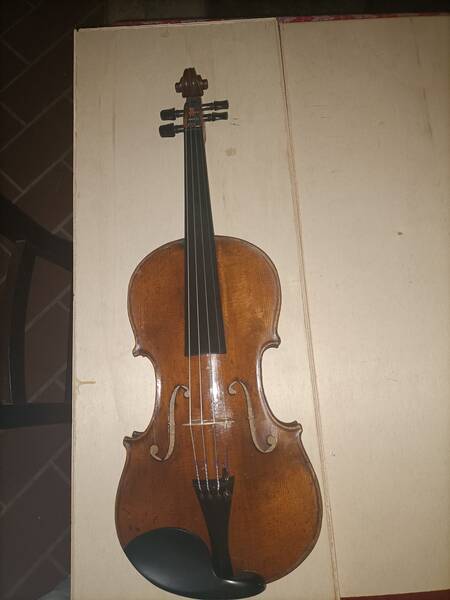 violino fransciscus forberger 1908 suono caldo dal timbro scuro