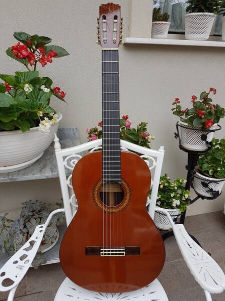 chitarra classica contreras c-6