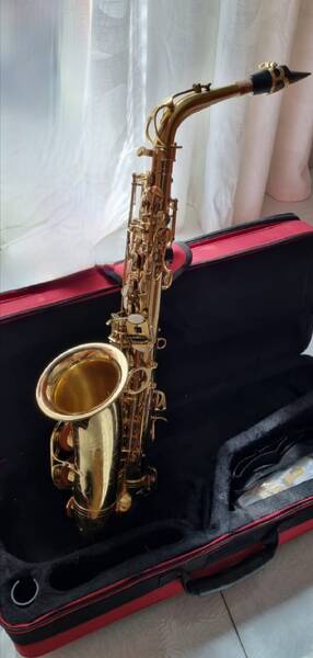 sax contralto alysee