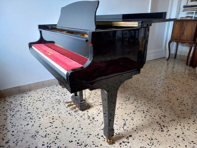 pianoforte mezzocoda carl steinberg