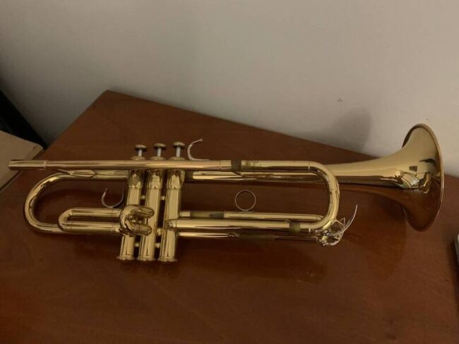 yamaha 8310z