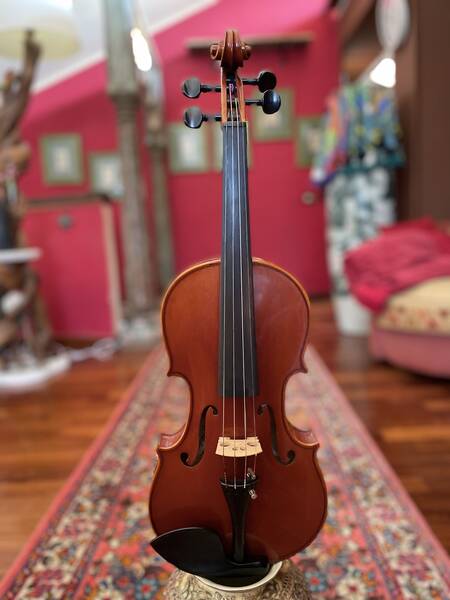 violino liuteria 2010