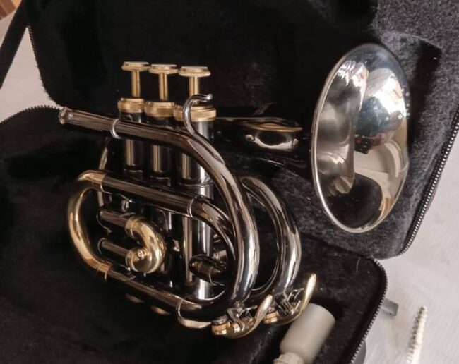 tromba roy benson sib pocket pt101k