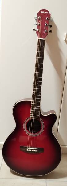 chitarra elettrificata aria elicord