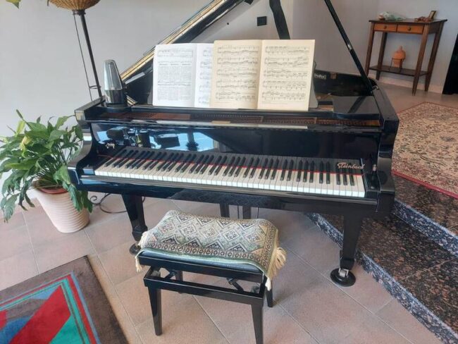 pianoforte a coda da studio steinbach