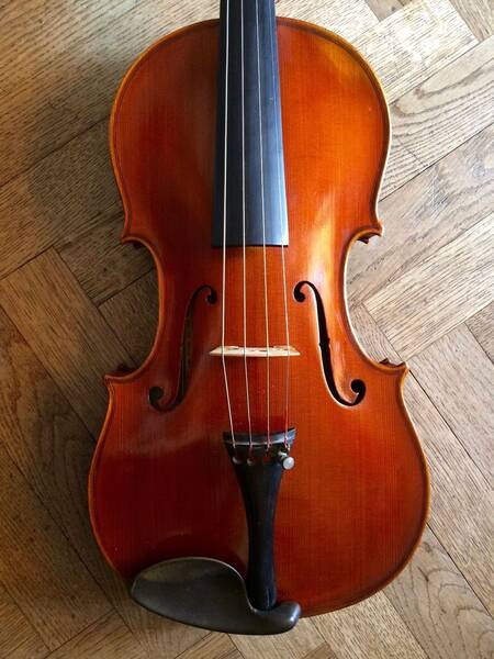 viola 38 8 cm g b gaibisso alassio 1950