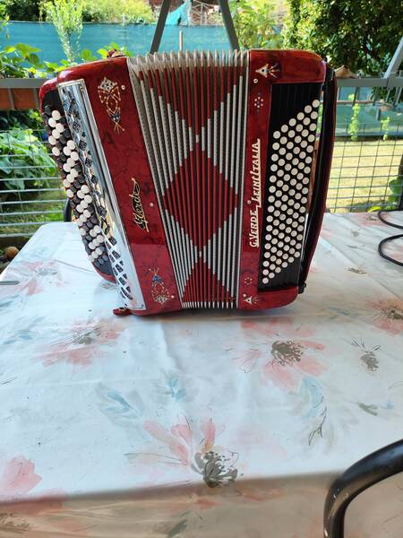 fisarmonica a bottoni