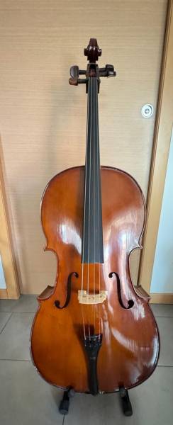 violoncello 4/4 + accessori