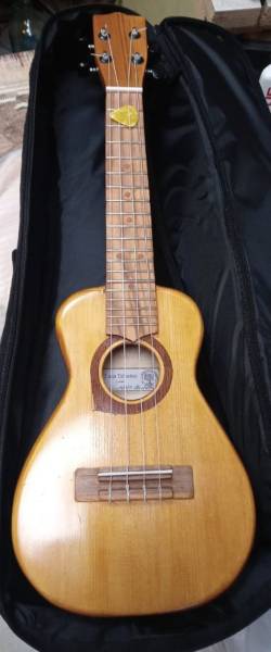 ukulele concerto di liuteria