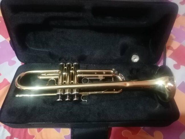 vendo tromba dorata con custodia