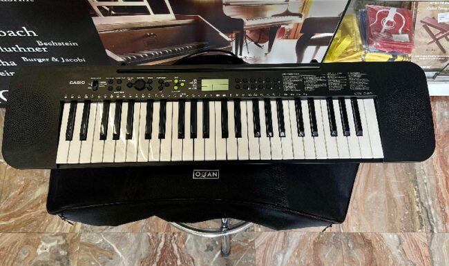 casio ctk-240 con borsa - in ottime condizioni