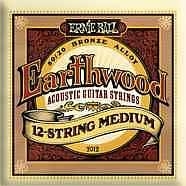 ernie ball 2012 - earthwood 12-string medium - muta per chitarra 12 corde