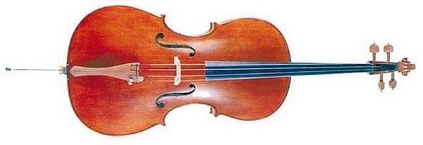 oqan oc300 1/4 - violoncello laminato