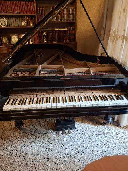 pianoforte 1/2 coda 185 cm
