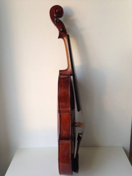 viola natale novelli 1946