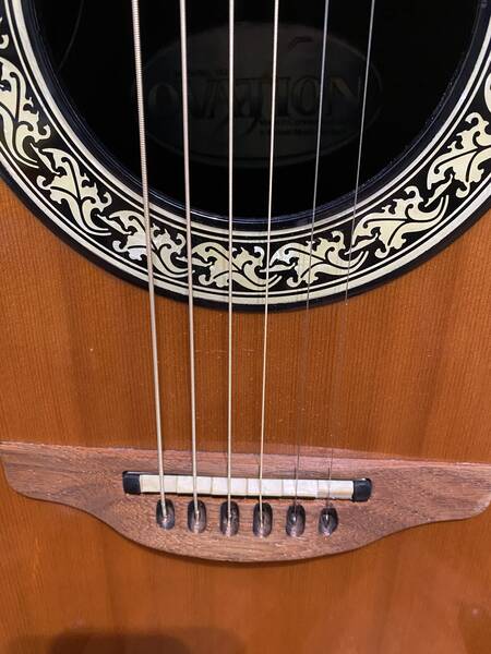 ovation 621 anno 1981