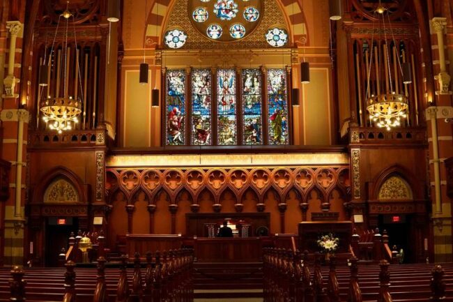 organista bologna