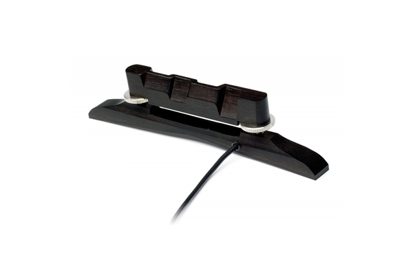 fishman nashville archtop m-300 mandolin pickup