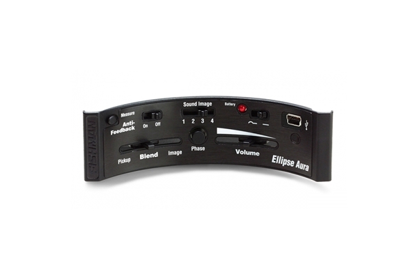 fishman ellipse aura wide format