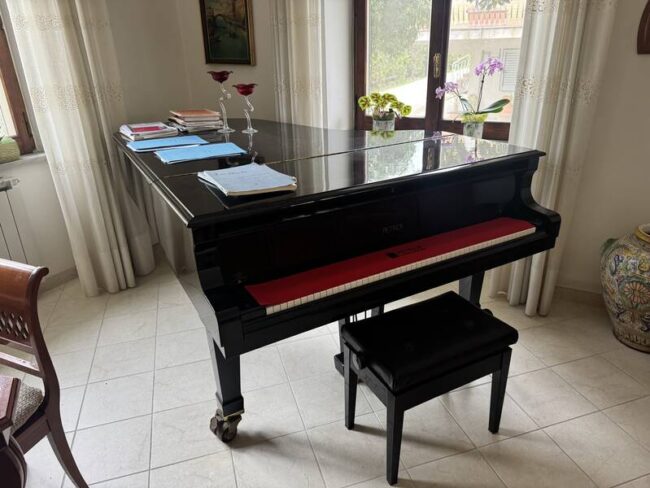 pianoforte petrof p210 come nuovo
