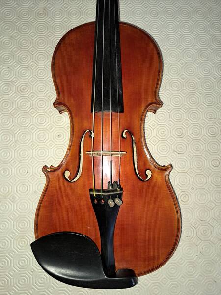 violino liuteria italiana bruno di pilato certificato