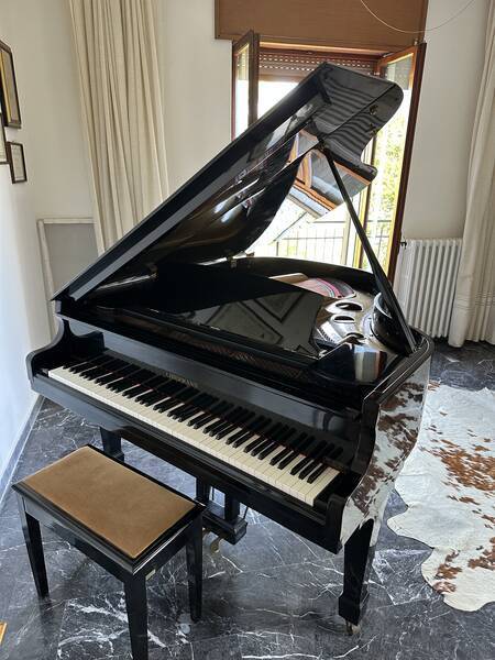 pianoforte quarto di coda libermann