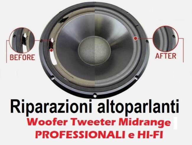riparazioni woofer tweeter midrange driver crossover