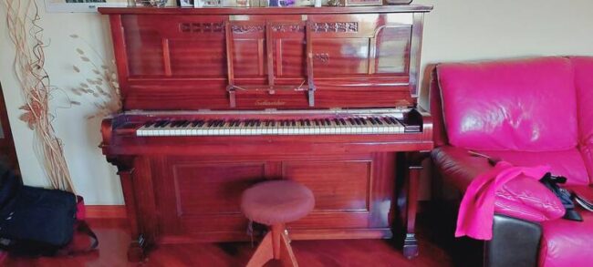 vendesi pianoforte schneider dei primi del '900