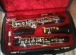 vendo oboe patricola modello artista anno 2021