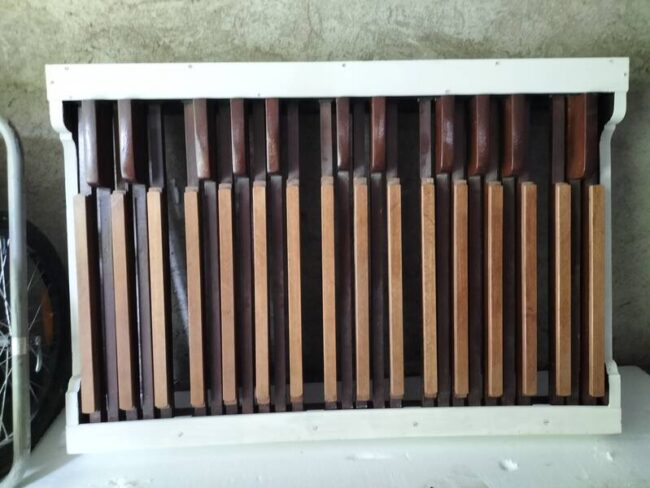 pedaliera organo retta 27 note
