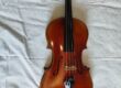 vendesi viola jay haide usata