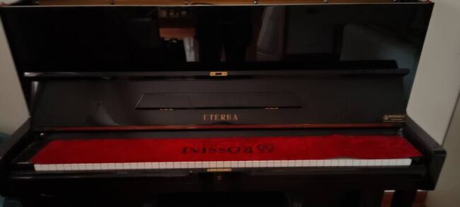 vendo pianoforte verticale eterna