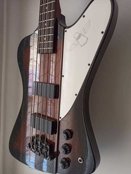 epiphone thunderbird
