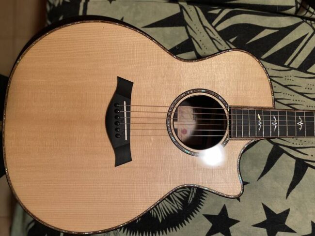 vendo chitarra taylor 914ce v class bracing