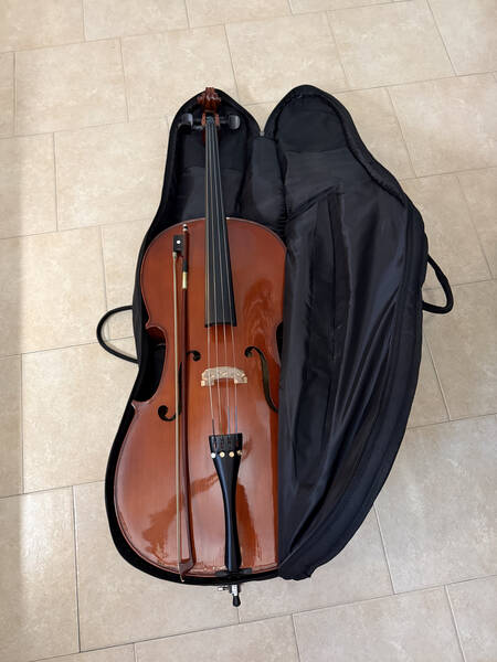 violoncello da studio