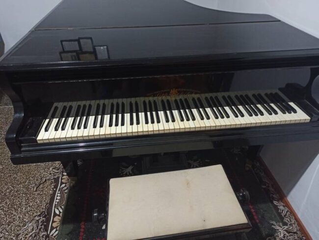 pianoforte mezzacoda lipp & sohn