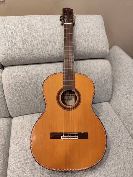 chitarra cordoba iberia cd c7