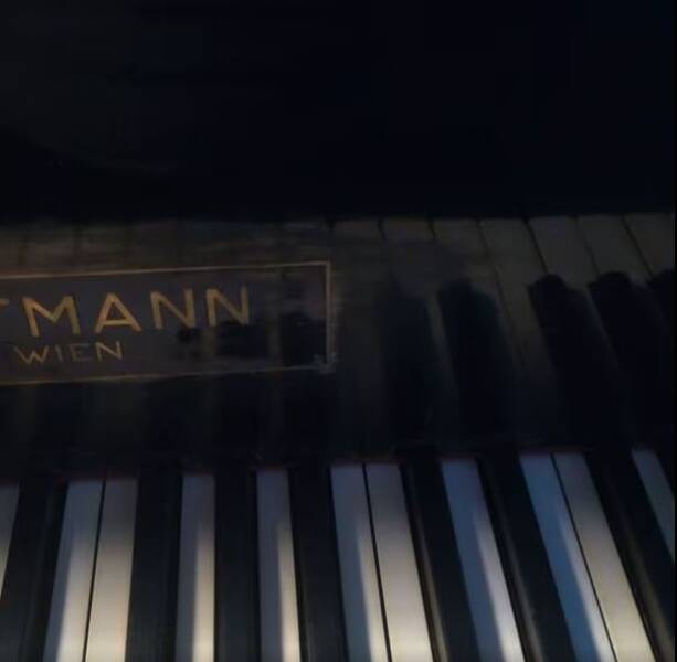pianoforte a coda w hoffmann