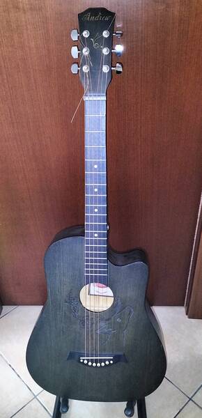 chitarra acustica andrew