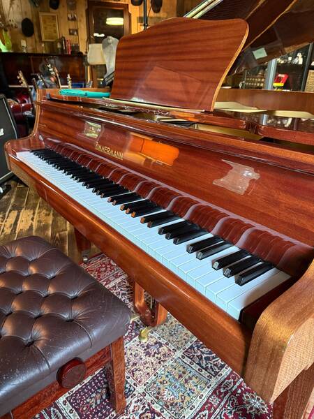 zimmermann quarto di coda