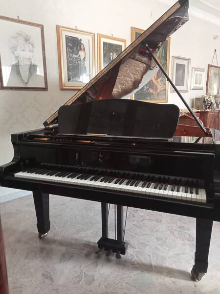 pianoforte a coda seiler 206