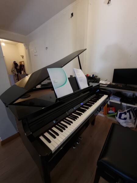 roland gp-6 perfetto 1 anno di vita