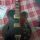 vendo chitarra semiacustica