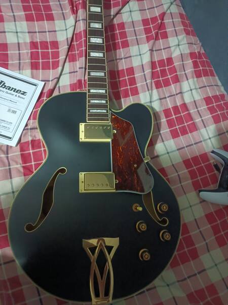 vendo chitarra semiacustica