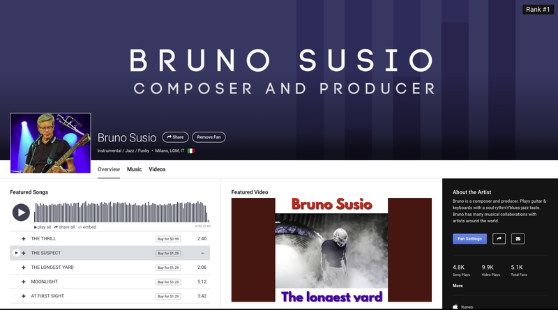 vuoi una canzone originale e di qualit professionale