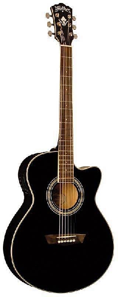 washburn ea 12 b