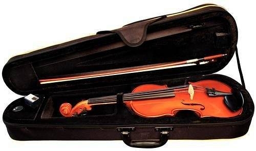alysee vn30 violino 44 in ebano con archetto e astuccio