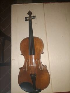 violino fransciscus forberger 1908 suono caldo dal timbro scuro