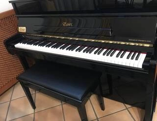 pianoforte essex